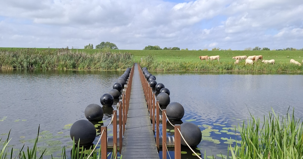 Dit stuurden jullie in: Hanneke geniet van een wandeltocht bij Fortmont • Elzo spot bijzonder strand