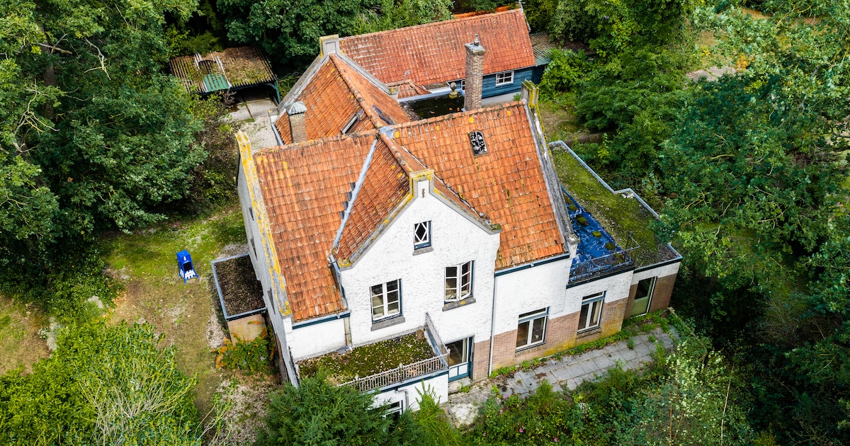 Nieuwe eigenaar probeert verpauperde villa in Ommen te redden: ‘Ik wil je alles vertellen’