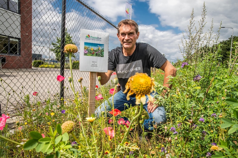 Medewerker Wilfred van der Wal nam het initiatief voor een kleurrijke berm voor het bedrijf waar hij werkt: PlantoSys.