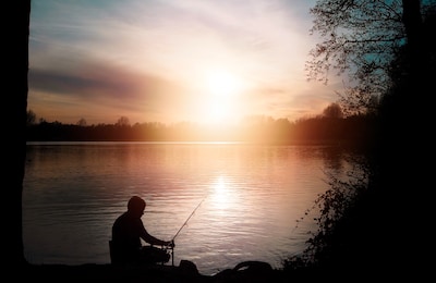 ‘Een boer die honderd koeien heeft, herkent ze allemaal. Zo gaat dat ook met vissen’