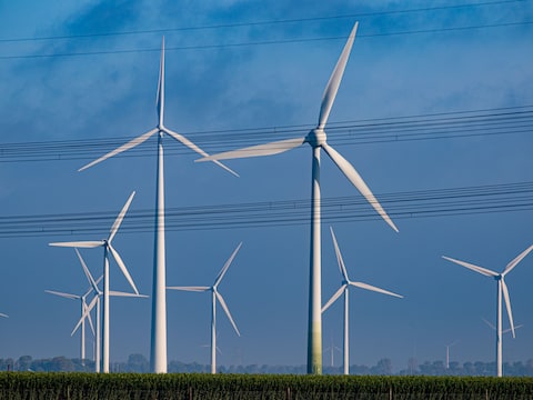 Windmolens bij Swifterbant.