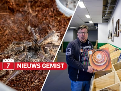 Gemist? Vogelspin is na zijn liefdesavontuur weer thuis & Ronald ziet op camera hoe klant met tas vol elpees verdwijnt