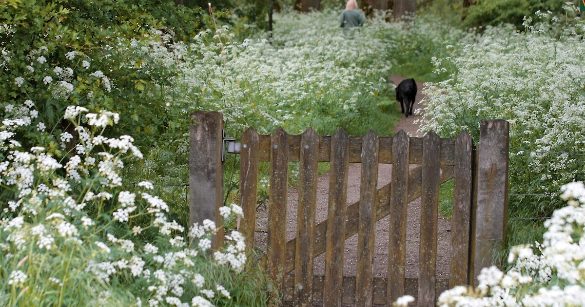 KleiGoed: wandeling door Druten met natuur en geschiedenis