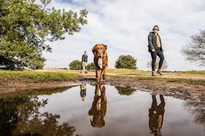Lezers reageren op drukte rond het Rozendaalse Veld: ‘Toch een kwestie van een beetje opschuiven met
