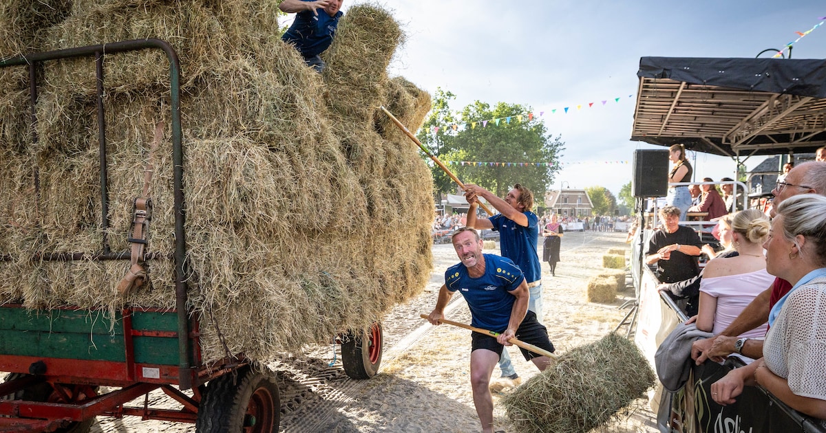 Ze dachten dat ze gingen trainen, maar stonden ineens in de ring met een hooivork