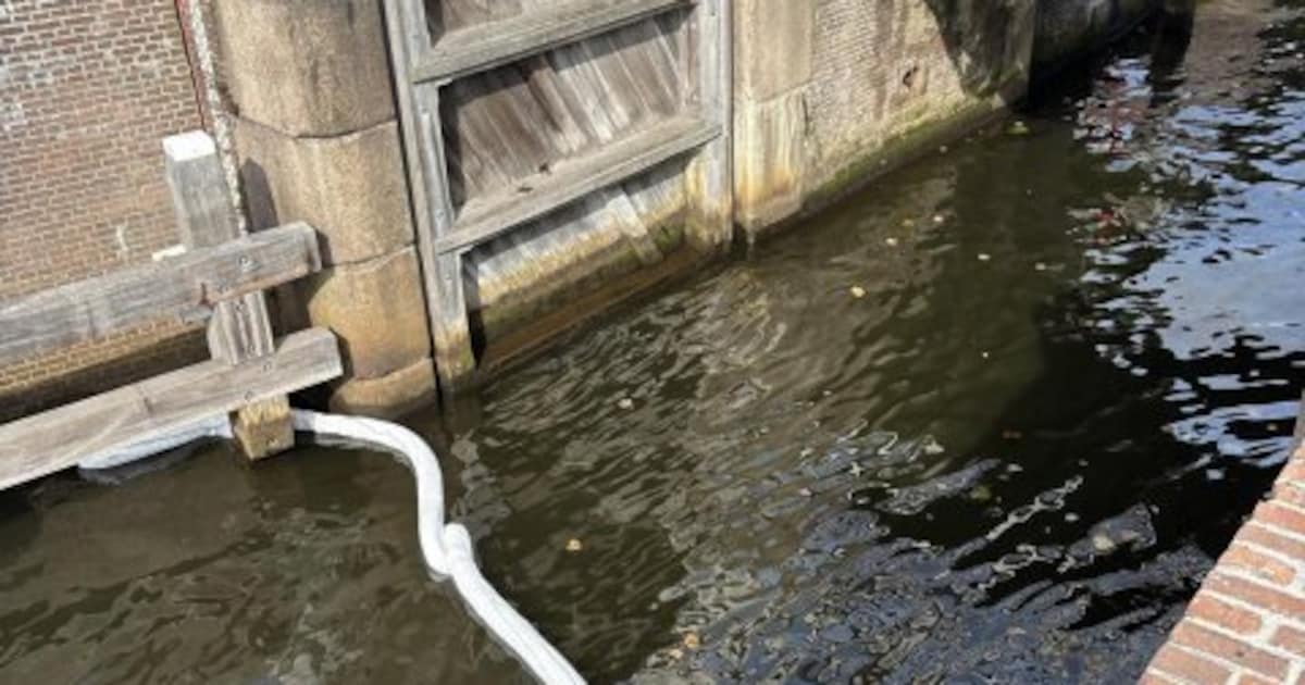 Olie aangetroffen in Zwarte Water bij Hasselt