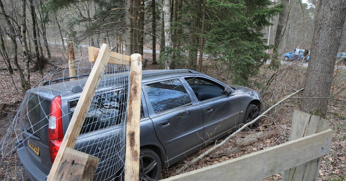 Auto rijdt dwars door hekwerk bij ongeval in Vaassen, bestuurder gewond