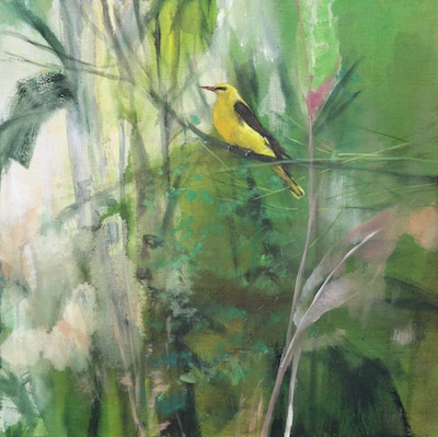 De natuur als hoofdrolspeelster in De Reestkamer in Balkbrug