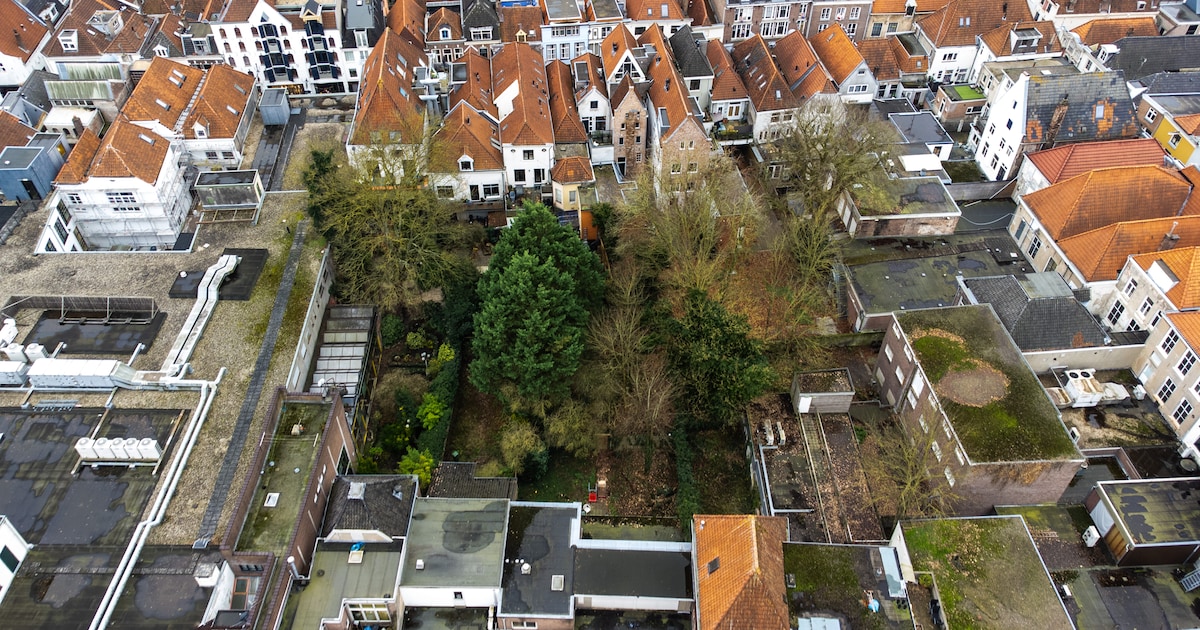 Het gaat ‘te goed’ met de stad, daarom loopt Deventer geld mis voor dit centrumproject