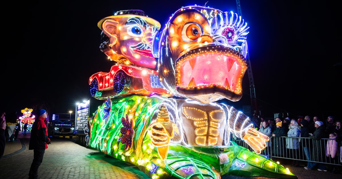 Kleurige lampjes door het hele dorp: dit is de verlichte carnavalsoptocht van Lemelerveld