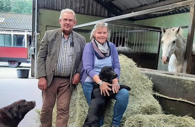 Op stal bij de paarden van de Deventer paardentram: 'Die glanzende krachtpatsers voor de koets, daar