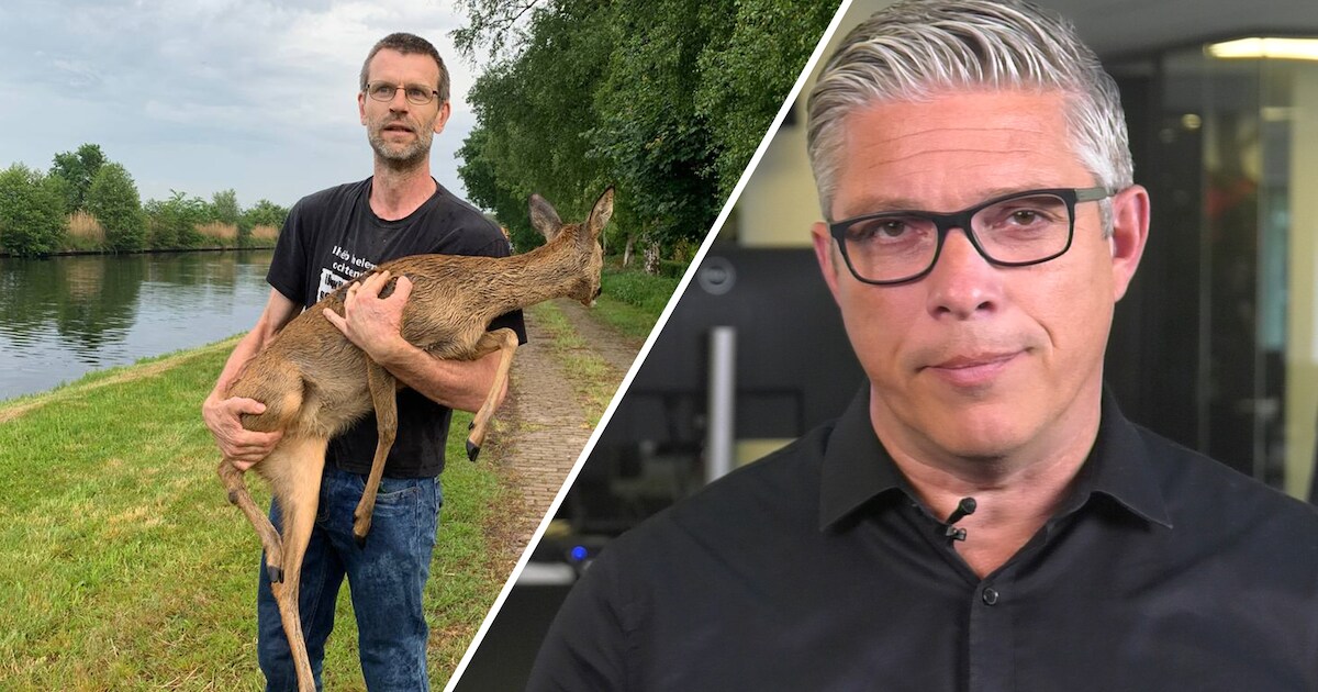 Hondsbrutale autodiefstal in Apeldoorn • Heldhaftige ree-redder uit Hoogenweg