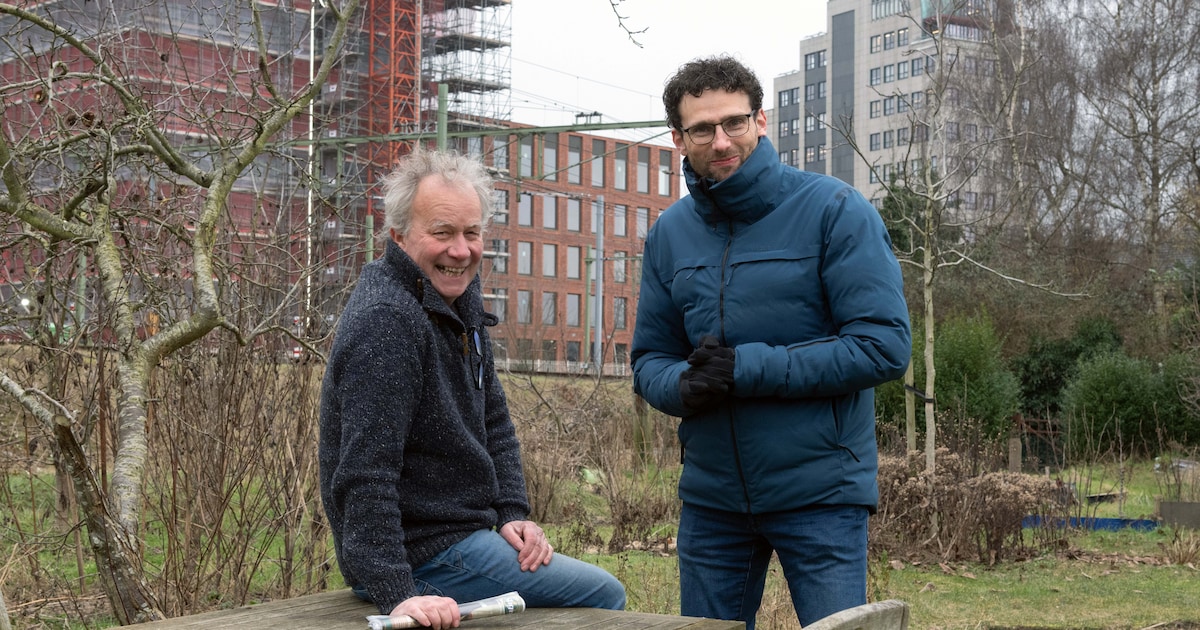 Tussen twee viaducten in Deventer schuilt het grote groene geheim van de stad