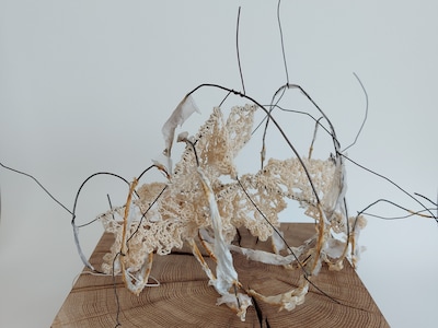 Bijzondere textielexpositie in Galerie Zelhem