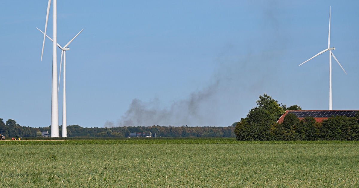 Brand bij bos in Dronten, rook in wijde omgeving te zien