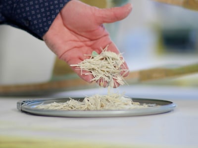 Dit was een wiek van een windmolen en is nu een brug: deze uitvinding uit Zwolle gaat het hele land 