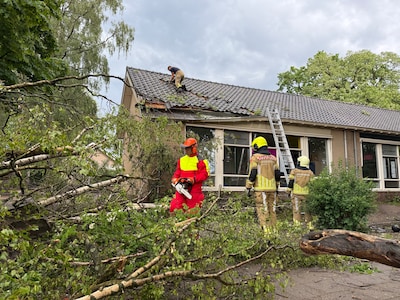 Omgevallen bomen en blikseminslag: noodweer zorgt op meerdere plekken voor schade
