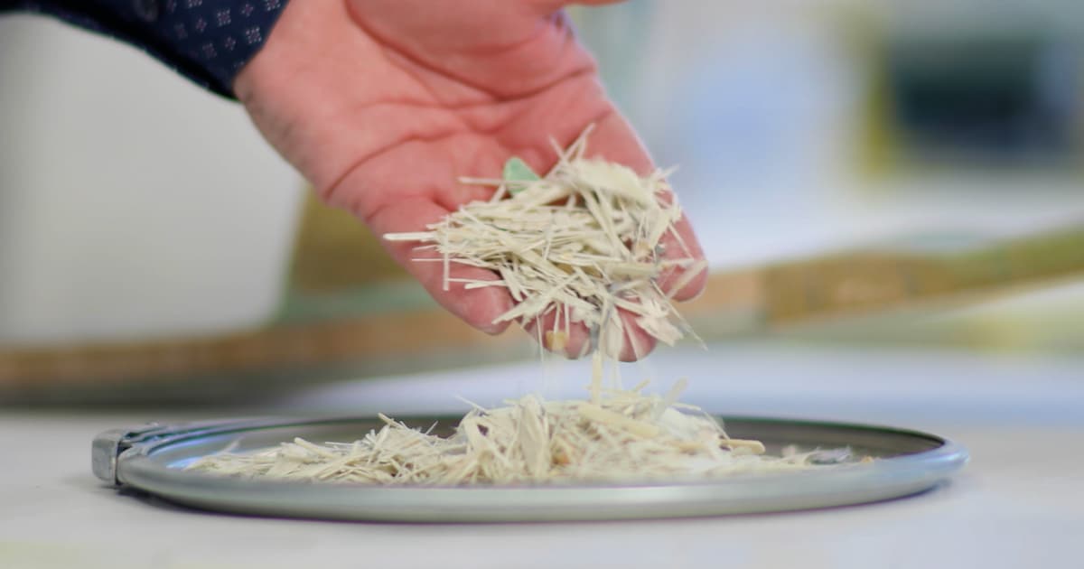 Deze uitvinding uit Zwolle gaat het hele land door: ‘We zijn maar wat trots!’