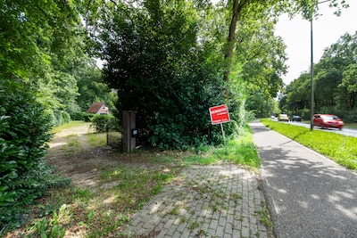 Terrein van afgebrande seksclub is verkocht: ‘Lastig om doorheen te kijken’