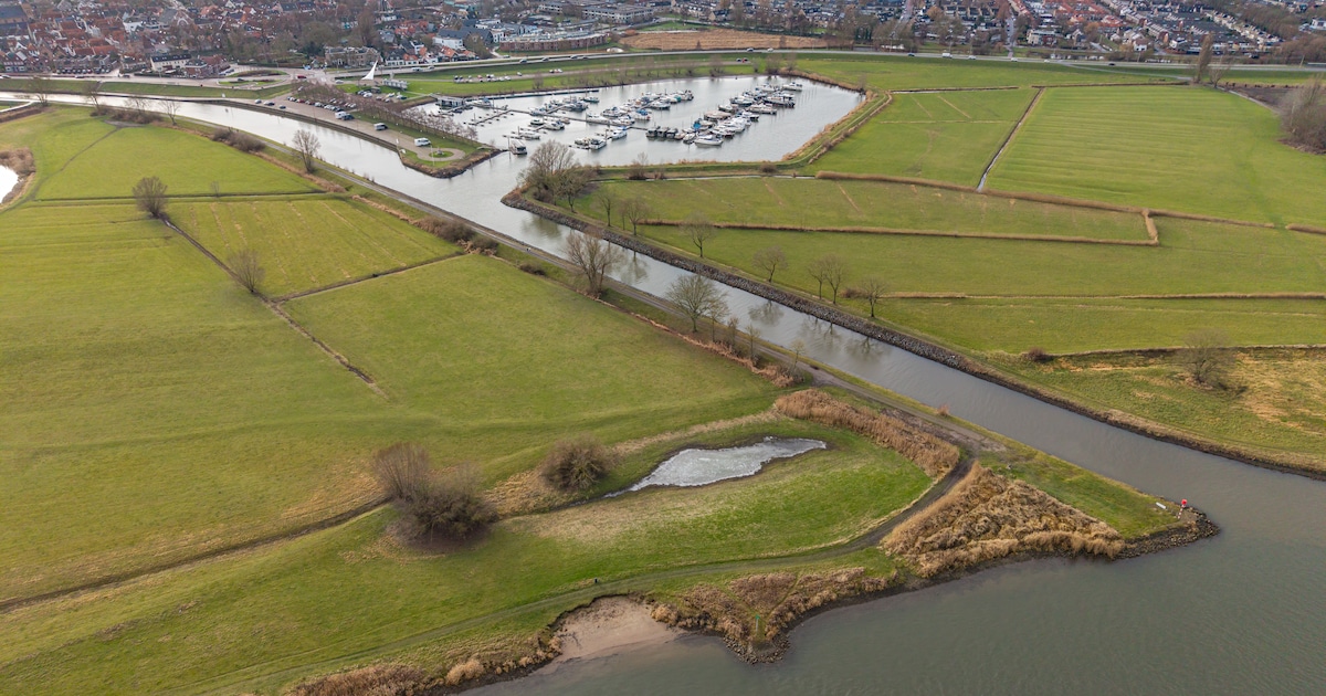 Alarm over losloopplannen in Hattem: ‘De dijk is al eens doorgebroken’