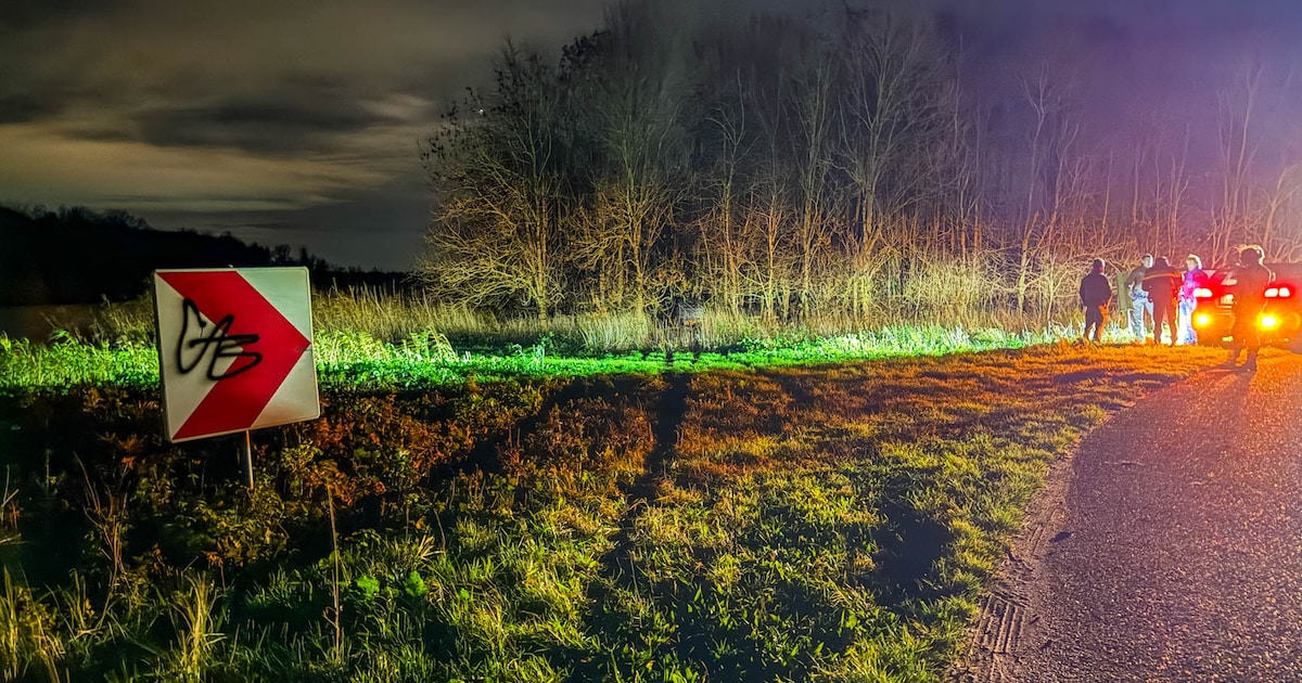 Auto belandt tussen struiken op Trekweg in Lelystad, bestuurder ongedeerd