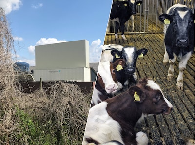 Gelderland geeft nu vaker stikstofvergunningen aan boeren, Vollenbroek kondigt meteen nieuwe rechtszaken aan
