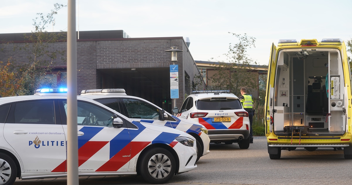 Gewonde bij psychiatrisch centrum in Deventer, patiënt aangehouden: ‘Vermoedelijk gestoken met schil