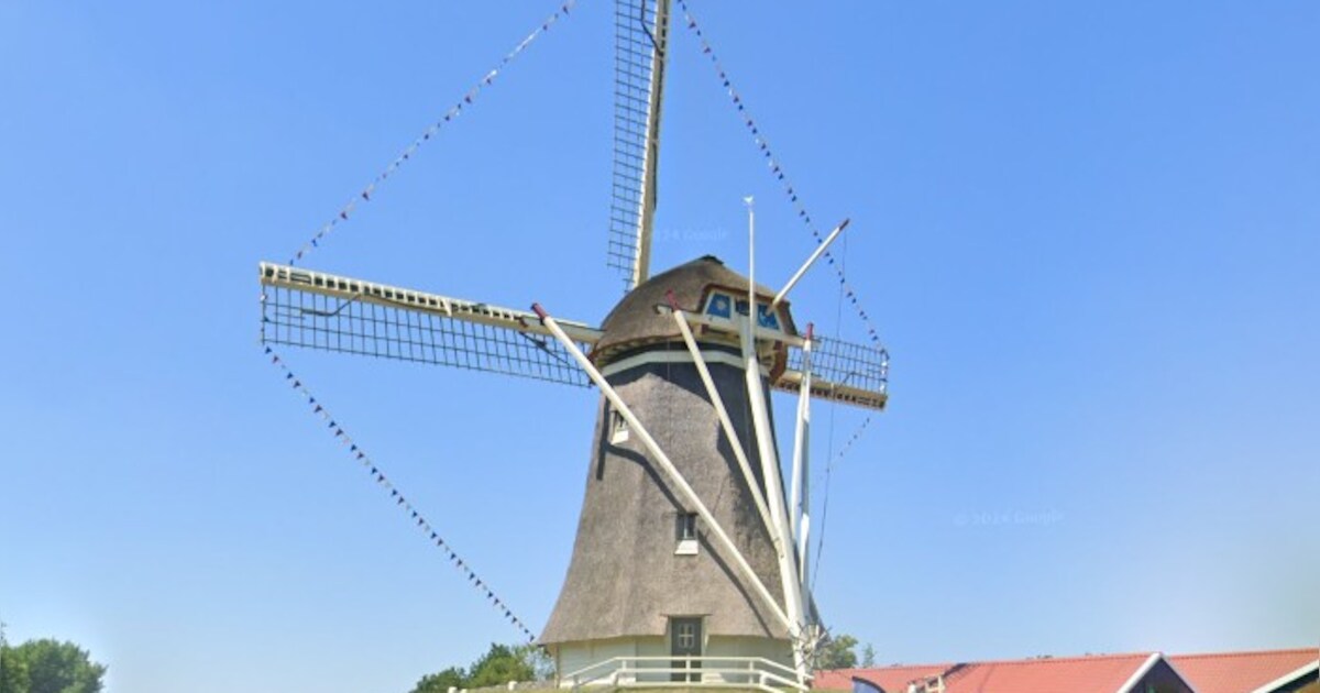 Kofferbakmarkt bij Molen de Duif in Nunspeet