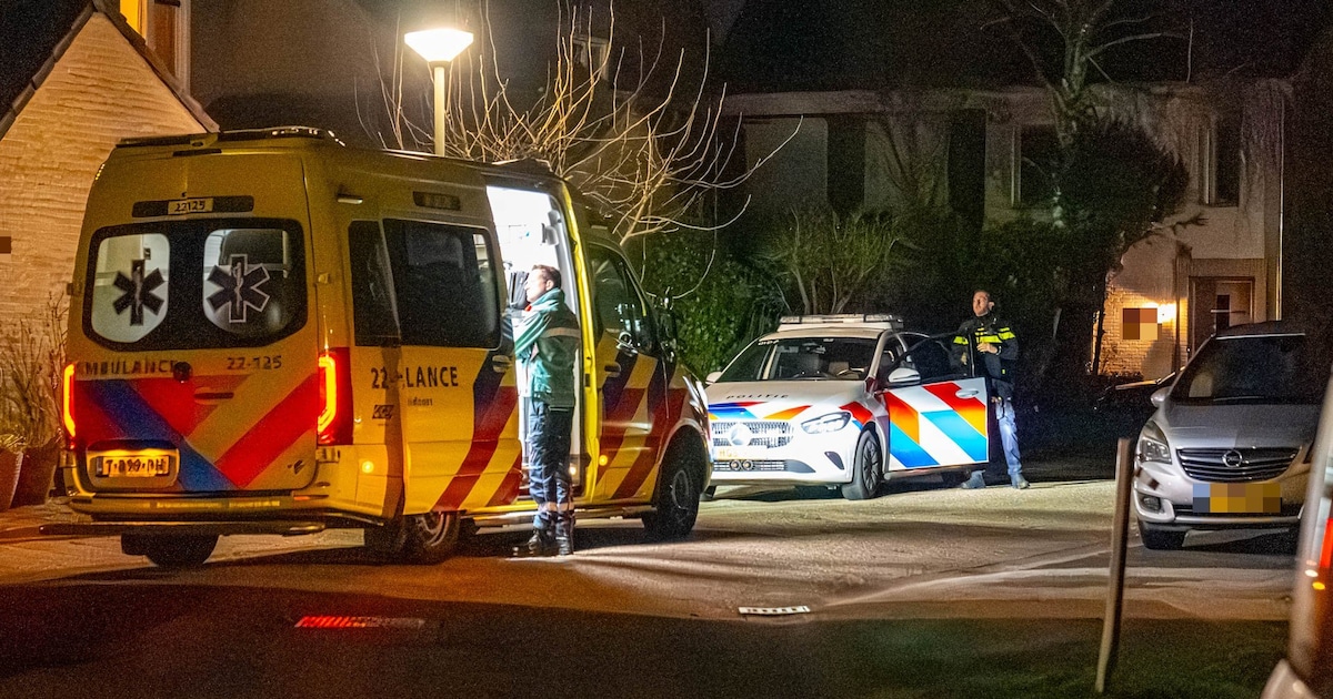 Man uit Almere (22) aangehouden na brute overval in woning Deurne