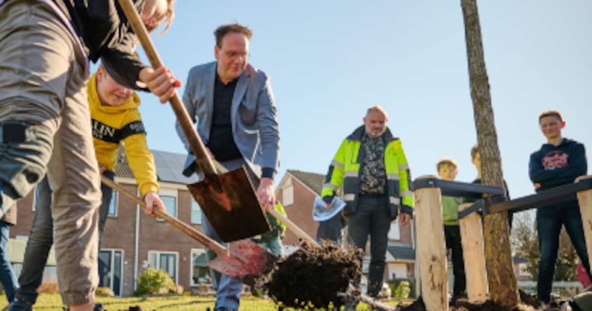 Hasselt krijgt dit najaar 191 extra bomen