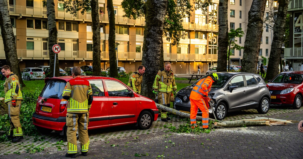 Grote tak valt op geparkeerde auto’s in Nijmegen