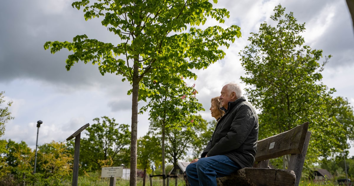 Bert (80) loopt naar de lindeboom van zijn overleden zoon: ‘Ik weet dat hij deze plek prachtig had g