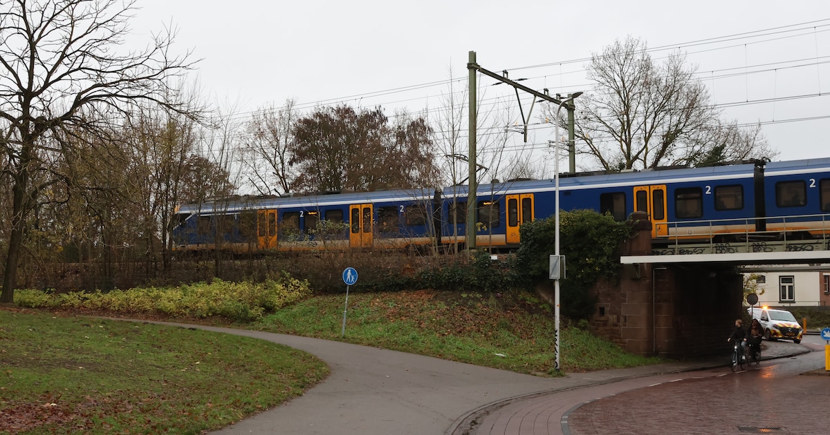 Problemen op het spoor: geen treinen tussen Mariënberg en Almelo
