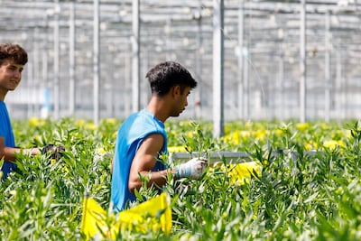 Noordoostpolder versterkt begeleiding asielzoekers naar werk