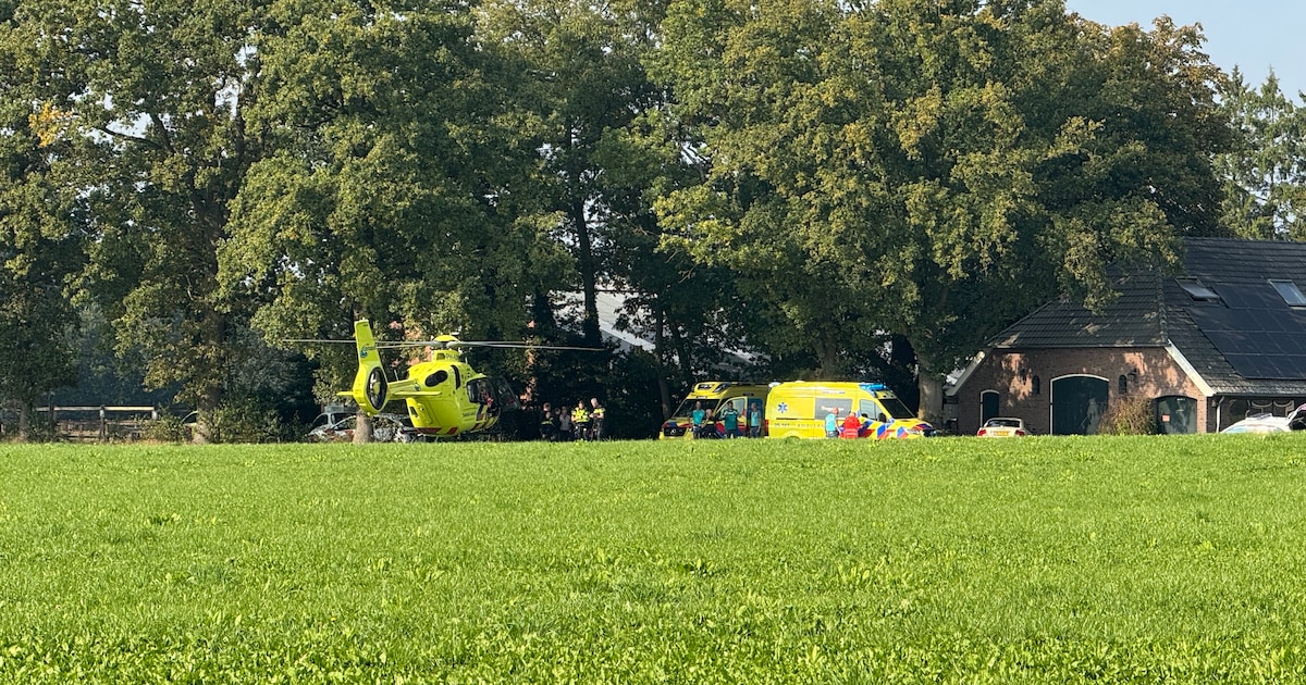 Ongeluk in Holten: paard trapt persoon tegen hoofd, traumahelikopter ingezet.