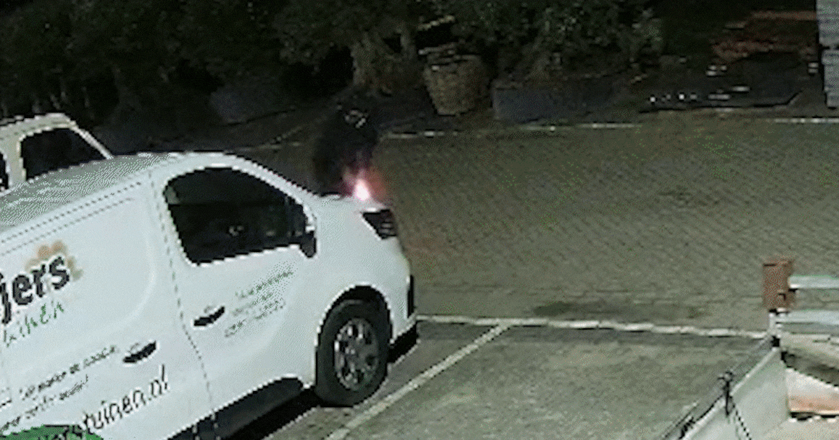 Camerabeelden tonen hoe brand bij bedrijfsbusjes Lelystad ontstaat