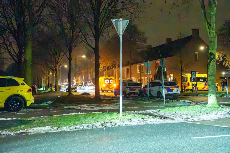 De eigenaar van de honden in Oss werd na de fatale aanrijding onwel op de Distelweg.