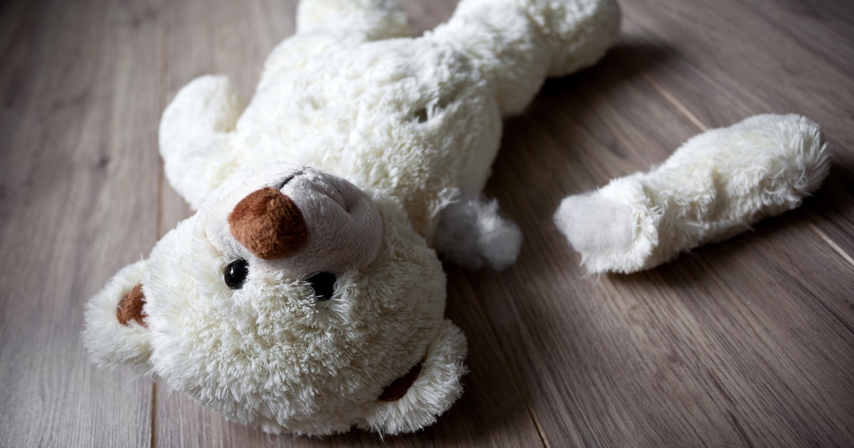 Aantal meldingen bij Veilig Thuis in Voorst gestegen