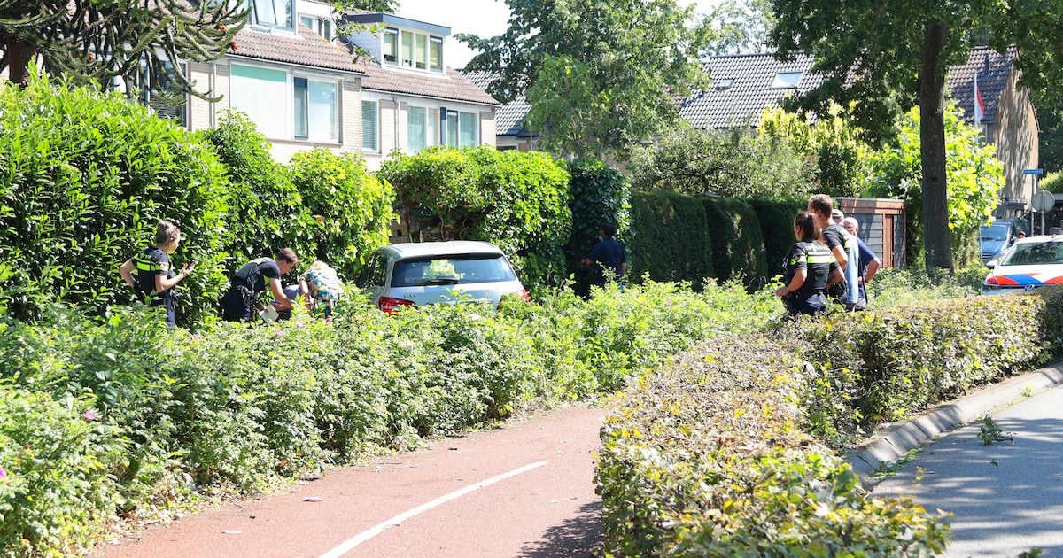 Automobilist vliegt uit de bocht en verwoest tuinschutting in Eemnes
