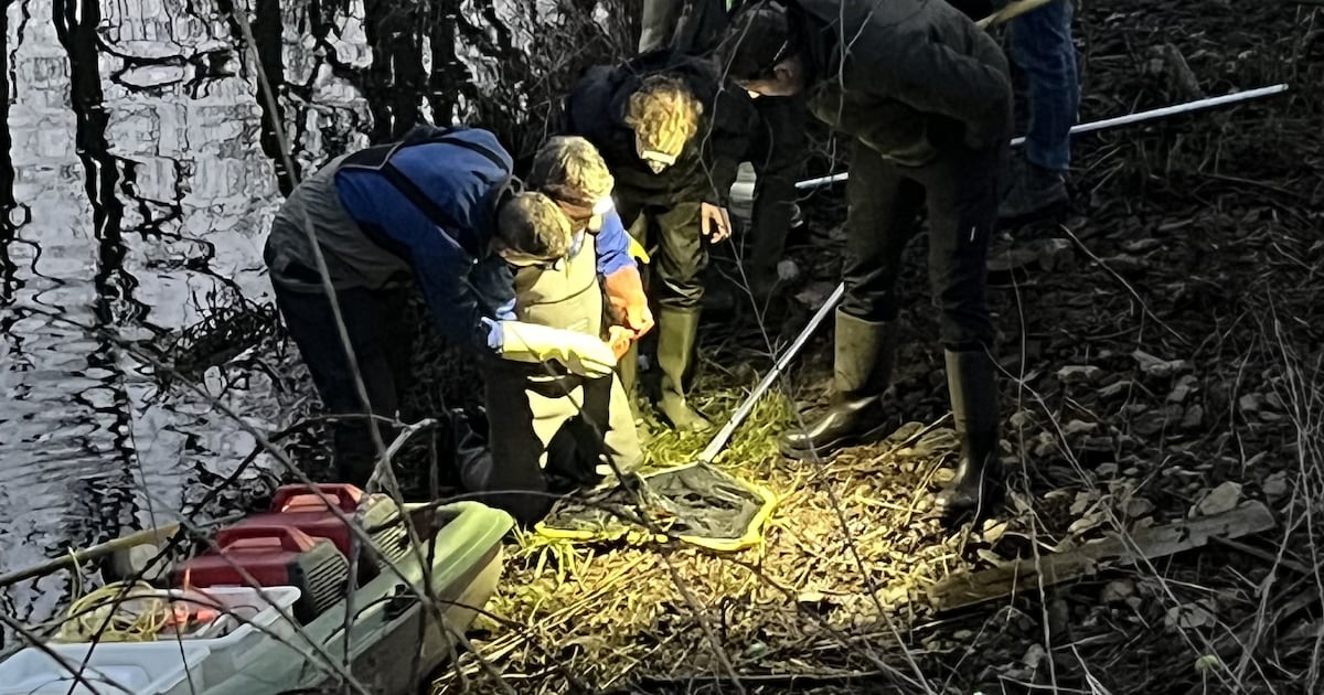 Niet moeders mooiste, maar natuurliefhebbers op de Veluwe doen er graag moeite voor