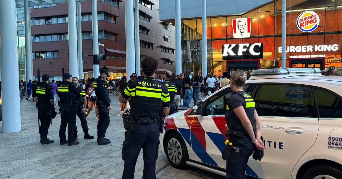 Vechtpartijen buiten festivalterrein in Almere: verdachte aangehouden