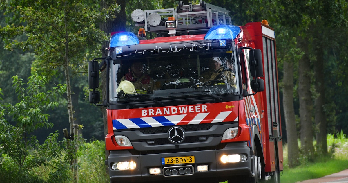 Jetskiër in problemen op de Waal, veerpont in Wamel brengt redding