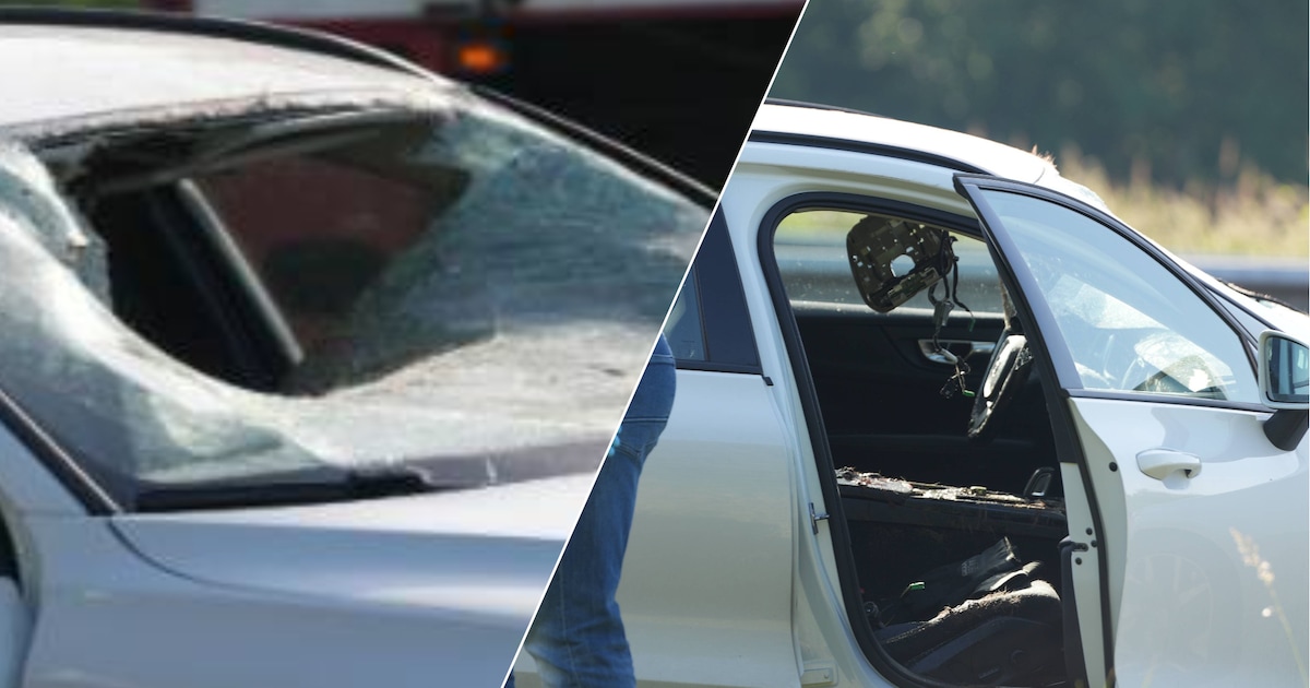 Automobi­list krijgt ree door voorruit op A28: bestuurder gewond, ree dood