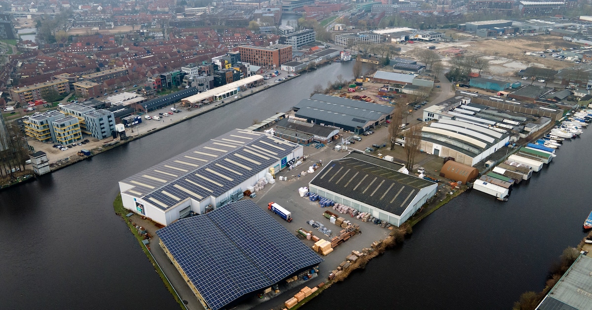 Waarom bedrijven bang zijn dat zij op het Haveneiland hun oude rechten verliezen