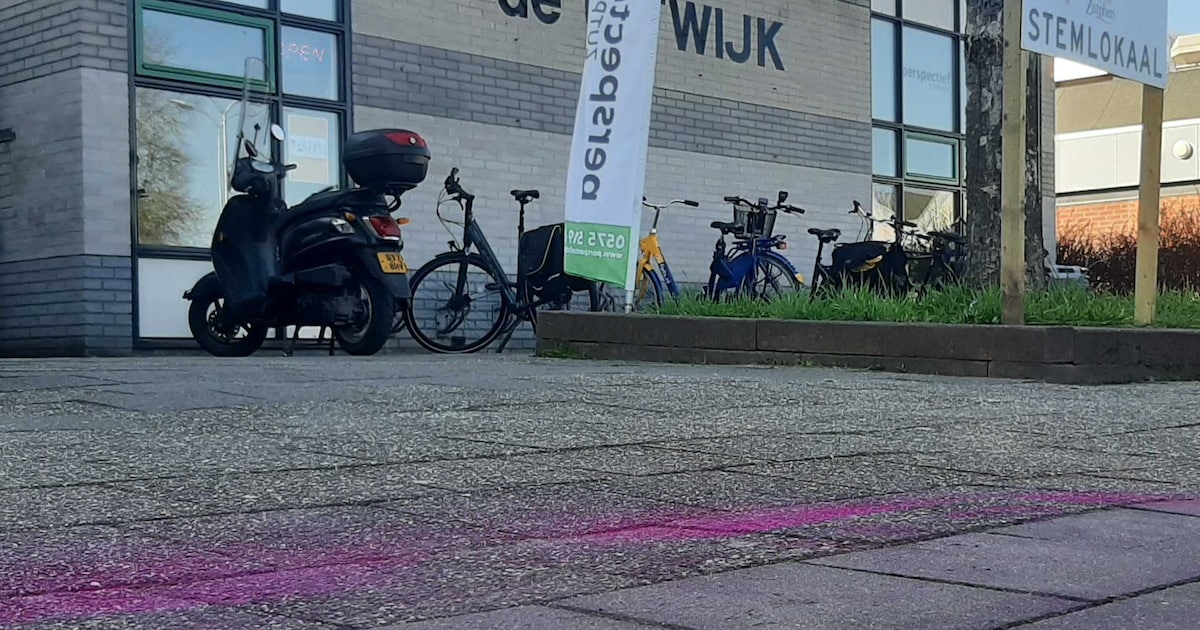 LIVE Verkiezingen | Zutphen verwijdert ‘stemadvies’ van Dolle Mina’s • Dit is de opkomst in veel gem