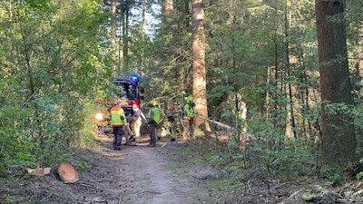 Bosbranden in Epe aangestoken, brandweer vindt vuurwerkresten: ‘Dit is onacceptabel’