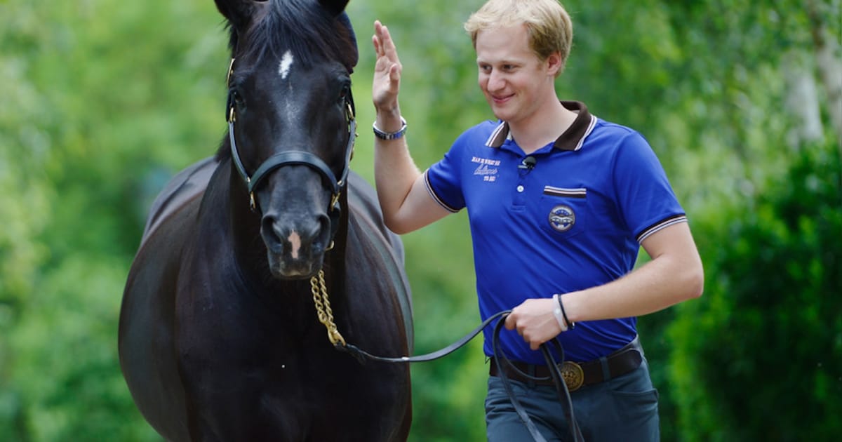 Matthias Rath meldt zich ziek af voor Aken | Meer sport | De Stentor.nl