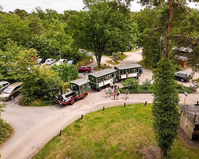 Treintje Bello rijdt weer zomerritten tussen Holten en Rijssen