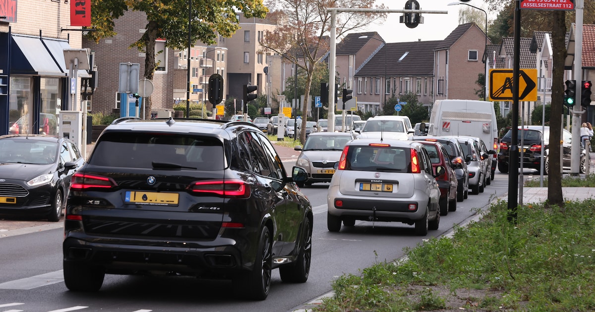 Pakketbezorgers die op het fietspad parkeren: ‘Helaas niet uniek voor de Wilhelmina Druckerstraat’
