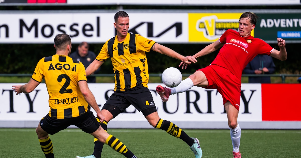 Contract Van Looy bij DVS’33 ontbonden • Comvalius per direct weg bij Sparta Nijkerk • Wolters blijf